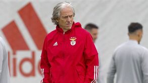 Jesus em busca da fórmula: as opções no plantel do Benfica para cada posição