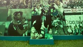 Imagens de Abel Ferreira dão cor às paredes no interior do Estádio do Palmeiras