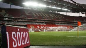 Presidente da MAG do Benfica não se demite e anuncia que votos físicos das últimas eleições vão ser contados este mês