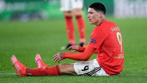 A resposta do Benfica à proposta do Brighton por Darwin