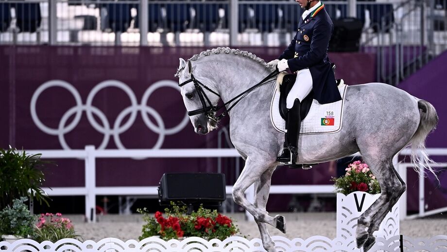 Dressage agarra quarto diploma para Portugal