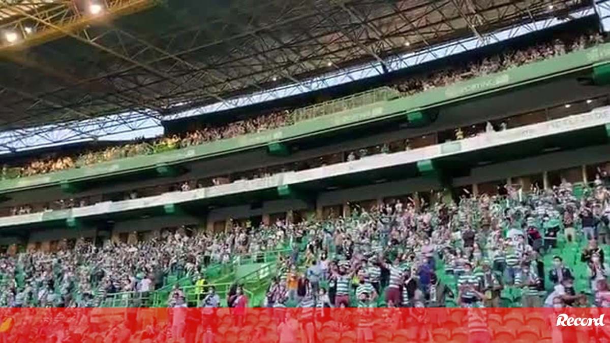 Sporting mostra bancadas de Alvalade ao rubro Vídeos Jornal Record