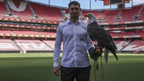 Yaremchuk: «Escolhi o Benfica porque quero conquistar títulos»