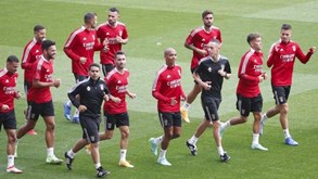 Benfica vai jogar contra Spartak Moscovo na Liga dos Campeões - Desporto -  SÁBADO