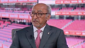 Presidente da MAG do Benfica aponta assembleia extraordinária para fim de agosto ou setembro