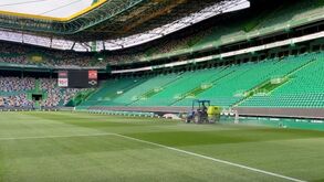Mais cadeiras e já com marcas: assim está o Estádio de Alvalade à espera dos adeptos