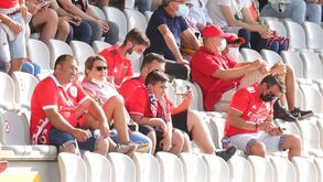 Adeptos do Benfica em maioria: as imagens das bancadas em Moreira de Cónegos 