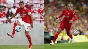 Fãs esperaram como uma mulher fiel aguarda pelo marido: André Almeida e Van Dijk estão... 'libertados'