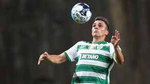 Sem contactos com a Roma por Palhinha