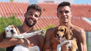 Palhinha despede-se de Luís Maximiano: «Até já craque das balizas»