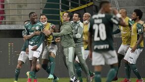 Abel Ferreira: «Quero ver se são adeptos do Palmeiras ou das vitórias»