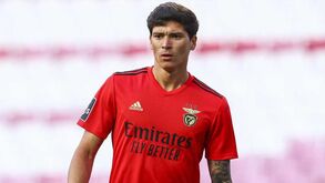 Darwin de regresso três meses depois: do calvário à recuperação total