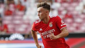 Benfica oficializa venda de Waldschmidt: os valores do negócio