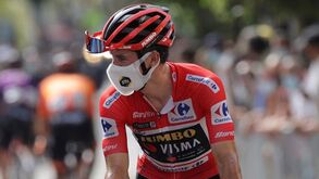 Primoz Roglic fugiu, arriscou e acabou a sofrer uma queda