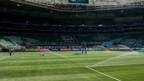 Palmeiras-Athletico Paranaense: as estatísticas e a pressão num duelo de portugueses