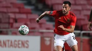 Samaris prepara o regresso