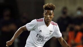 Gedson apresenta queixa contra ex-empresários: médio acusa-os de serem pagos pelo Benfica
