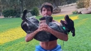 O estranho treino de Carlos Sainz... com um cão