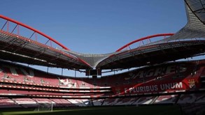 Testagem na Luz e pulseiras de acesso rápido: como assistir ao Benfica-Moreirense