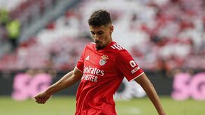 Gil Dias fora dos eleitos do Benfica para a Liga dos Campeões: a lista completa