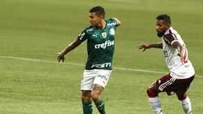Flamengo supera Palmeiras de Abel