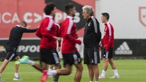 O onze provável do Benfica para o jogo com o Dínamo Kiev