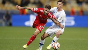 As notas dos jogadores do Benfica frente ao Dínamo Kiev