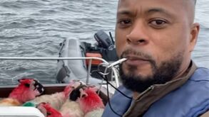 Evra tranquiliza Ronaldo: «Não te preocupes mano, vou tirar as minhas ovelhas da tua casa»