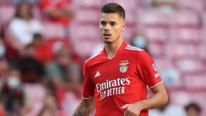 Weigl quer seleção e vê Benfica mais forte
