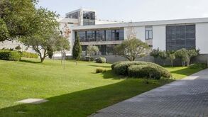 Benfica Campus já rendeu mais de 350 milhões de euros
