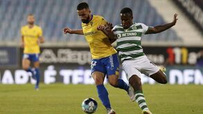 Sporting-Marítimo: leões querem dar continuidade às vitórias na Liga