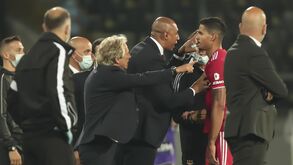 Jesus e a reprimenda de Luisão a Lucas Veríssimo: «Há regras, são situações normais»