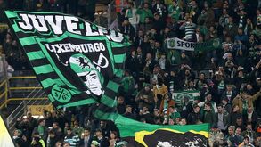 Mais de mil sportinguistas vão dar apoio à equipa em Dortmund