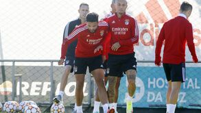 Radonjic de volta e Diogo Gonçalves fora no último treino do Benfica antes do jogo com o Barcelona