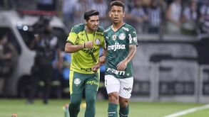 Abel revela inspiração em Mourinho e 'atira': «É isso que faz a diferença entre um rato e um homem»