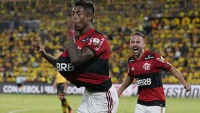 Palmeiras-Flamengo: Quarta final da Libertadores 'brasileira'. Lembra-se das outras?