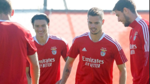 Weigl pede classe europeia