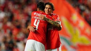 Lucas Veríssimo e Darwin na montra: tubarões seguem dupla