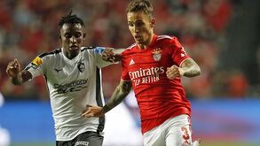 Grimaldo bem tentou quebrar a muralha: as notas dos jogadores do Benfica frente ao Portimonense