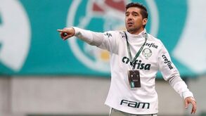 Palmeiras vai mesmo à final da Libertadores: Conmebol recusa pedido para anular golo