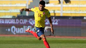 Óscar Tabárez em alerta por causa de Luis Díaz