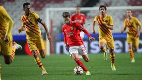 Rafa volta na Champions: ponto de situação sobre a lesão do extremo do Benfica
