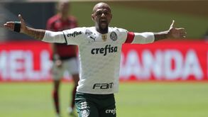 Palmeiras tem craque que será detido se entrar no Uruguai: que acontecerá na Libertadores?
