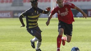 O que aconteceu no jogo-treino do Benfica com o Farense
