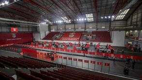 Eleições do Benfica: podem votar perto de 116 mil sócios
