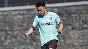 Fernando Santos esclarece situação de Diogo Jota