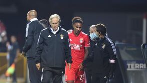 Razia no Benfica provocada por chuva de lesões