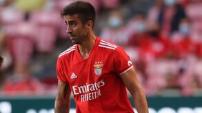 Jorge Jesus e a lesão de Rodrigo Pinho: «Vai aparecer mais firme no próximo ano»