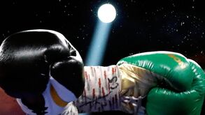 Pugilista hospitalizado após andar à luta com urso que lhe matou o amigo