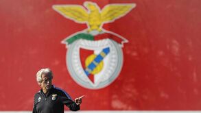 O onze provável do Benfica para o jogo com o Vizela